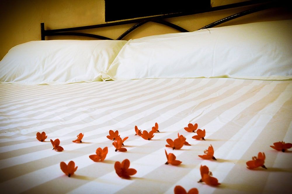 Ville De La Vie Villa