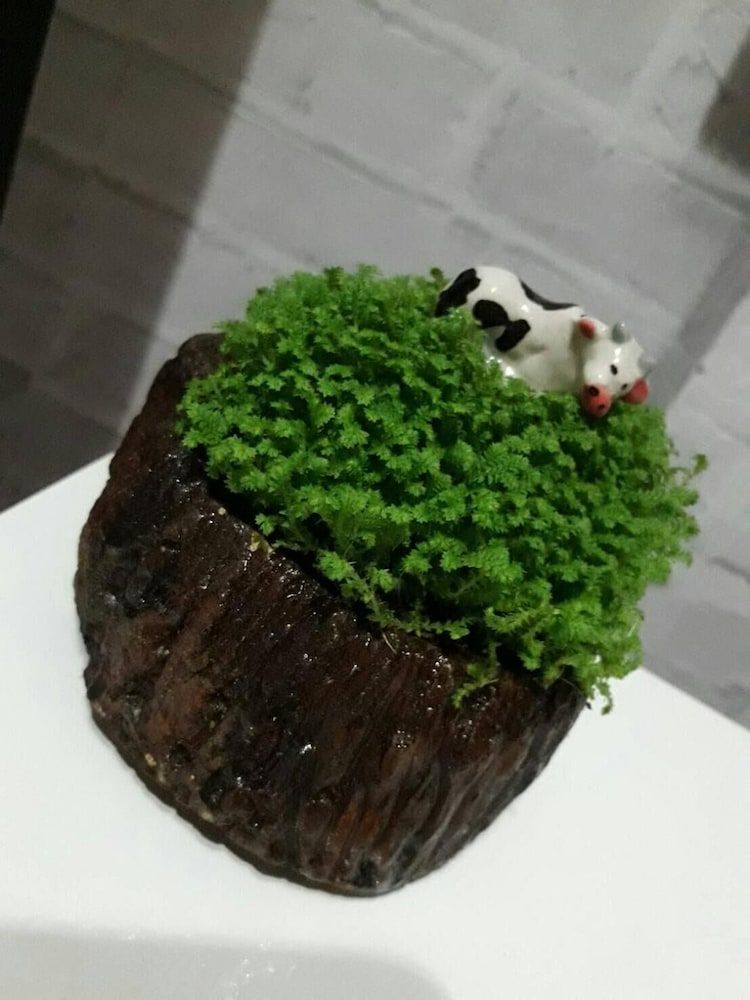 undefined Bed Bangkok Hostel 3