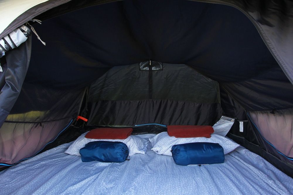 White Knot Khao Yai Tent, Courtyard View 3