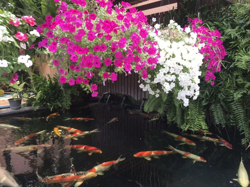 undefined The LD Pattaya 5