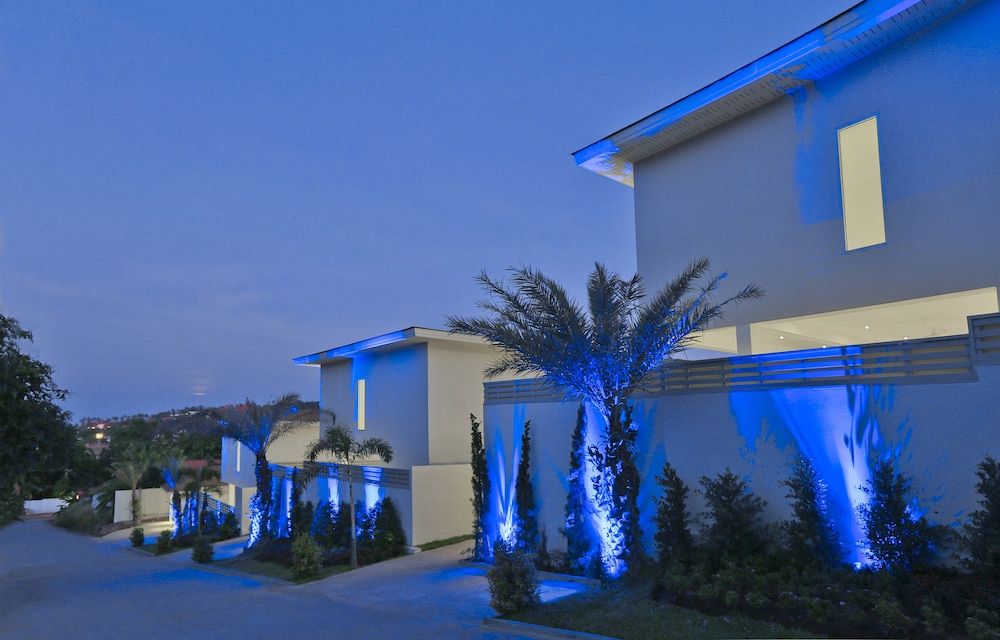 Samui Blue Orchid