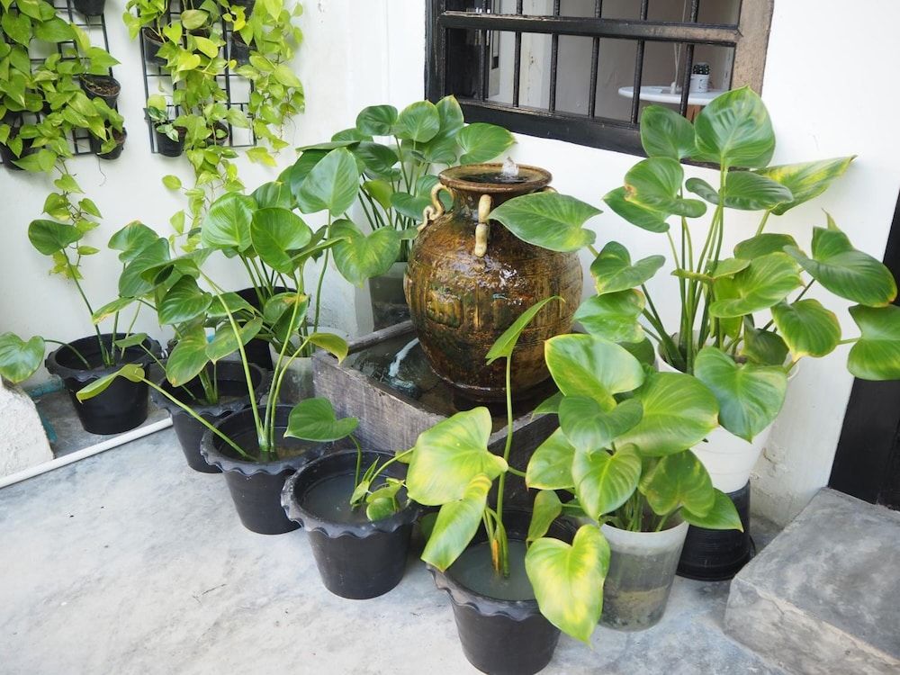 undefined Chino Town Gallery Alley 8