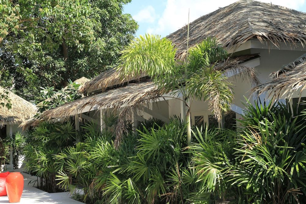 undefined The White Cottage 2