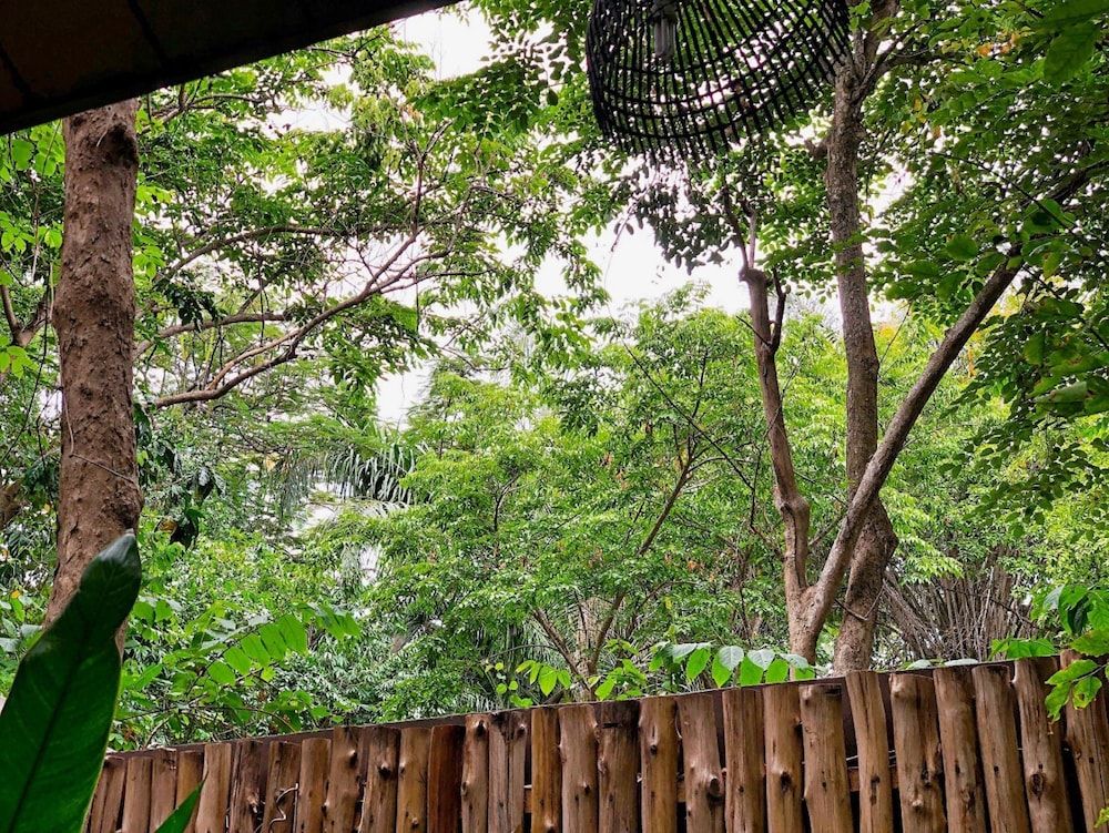 Birds and Bees Resort Big Bug Family 7