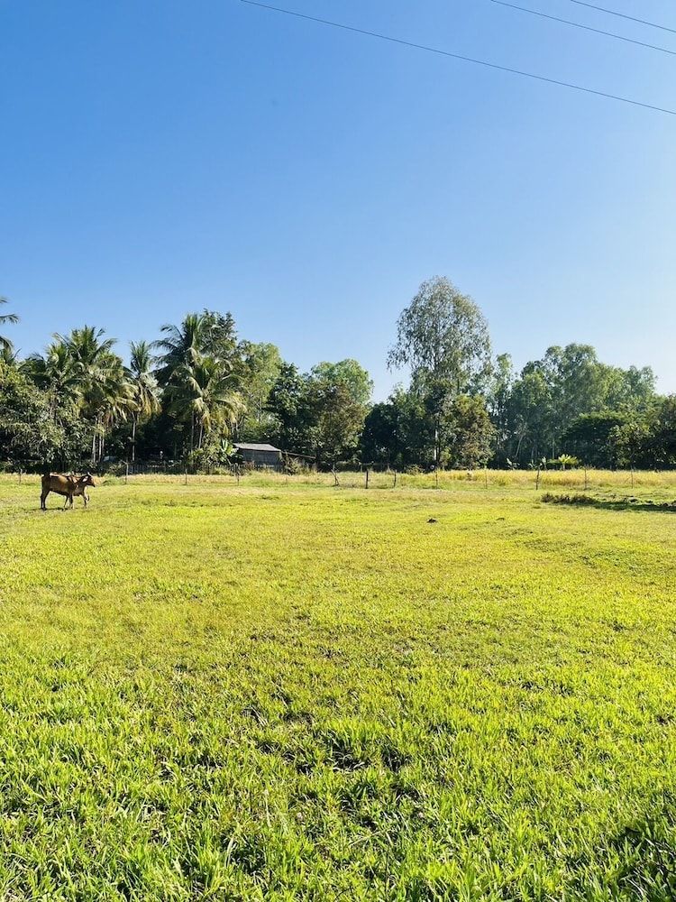 Land View from Property