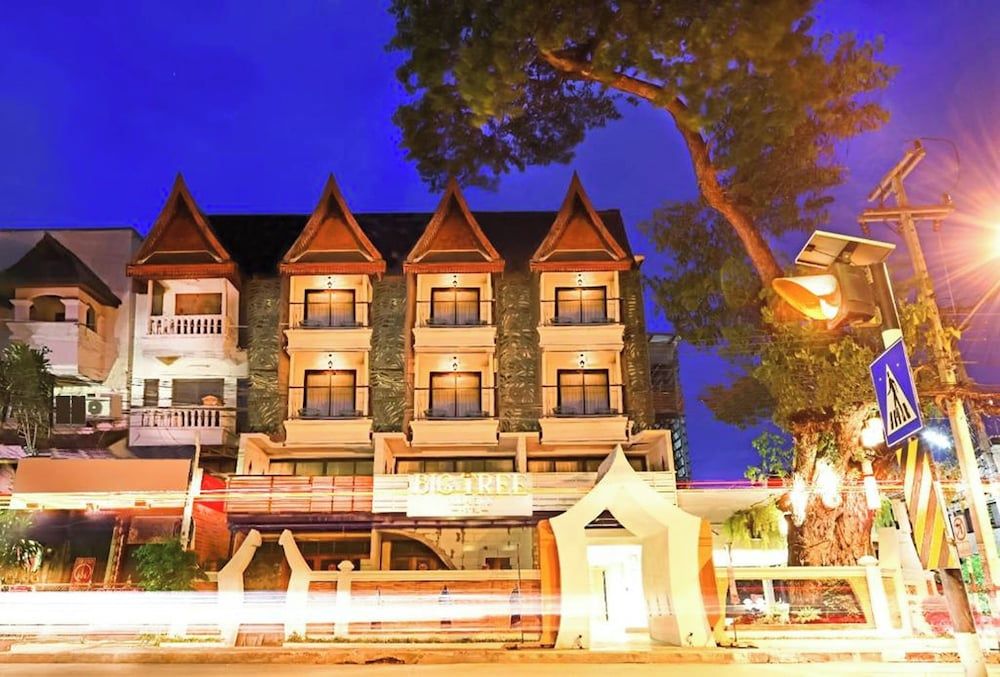 undefined Big Tree Old Town Hotel 2