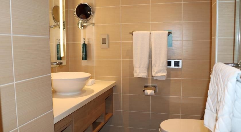 Hilton Garden Inn Dubai, Mall Avenue Twin Room 5