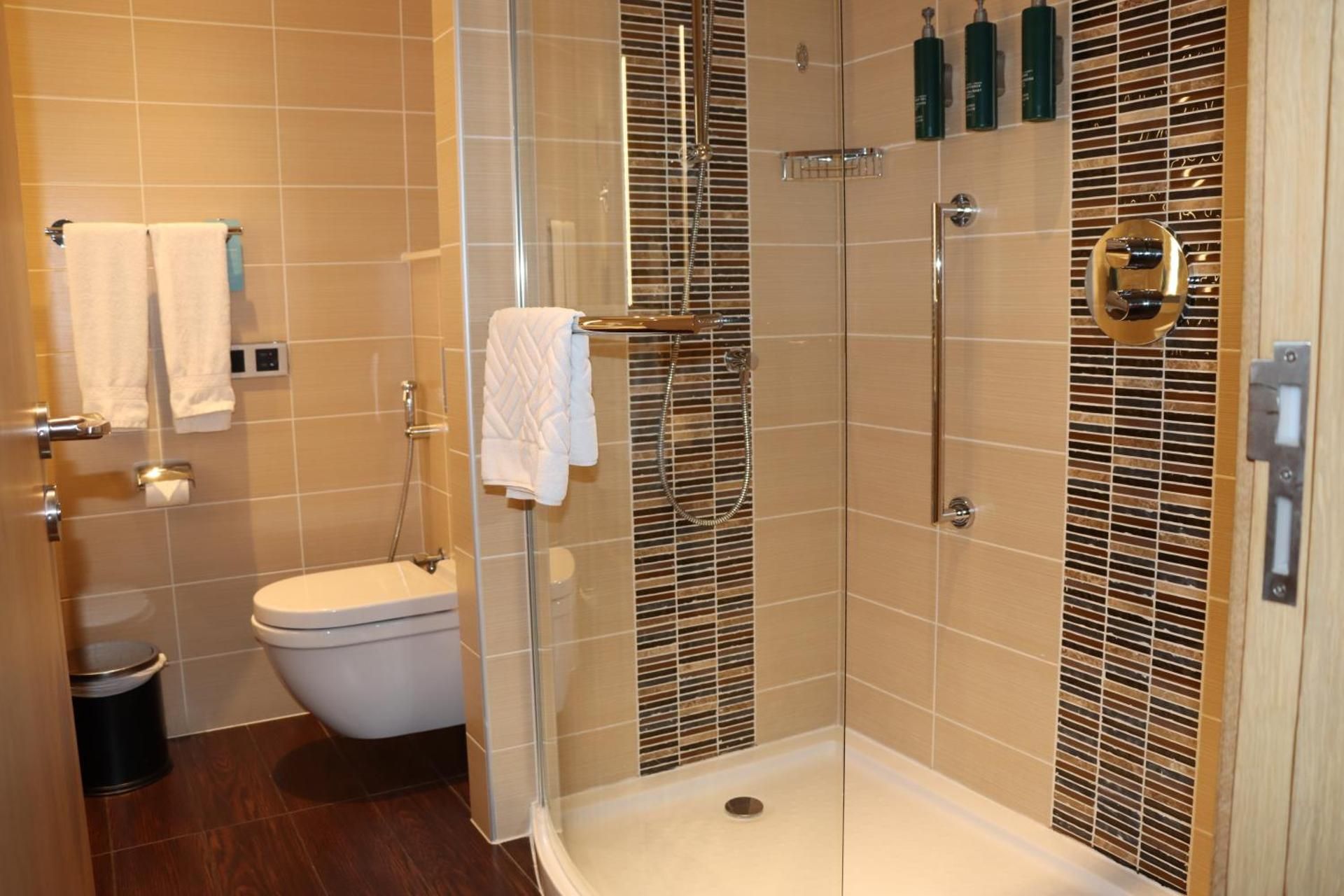 Hilton Garden Inn Dubai, Mall Avenue Twin Room 3