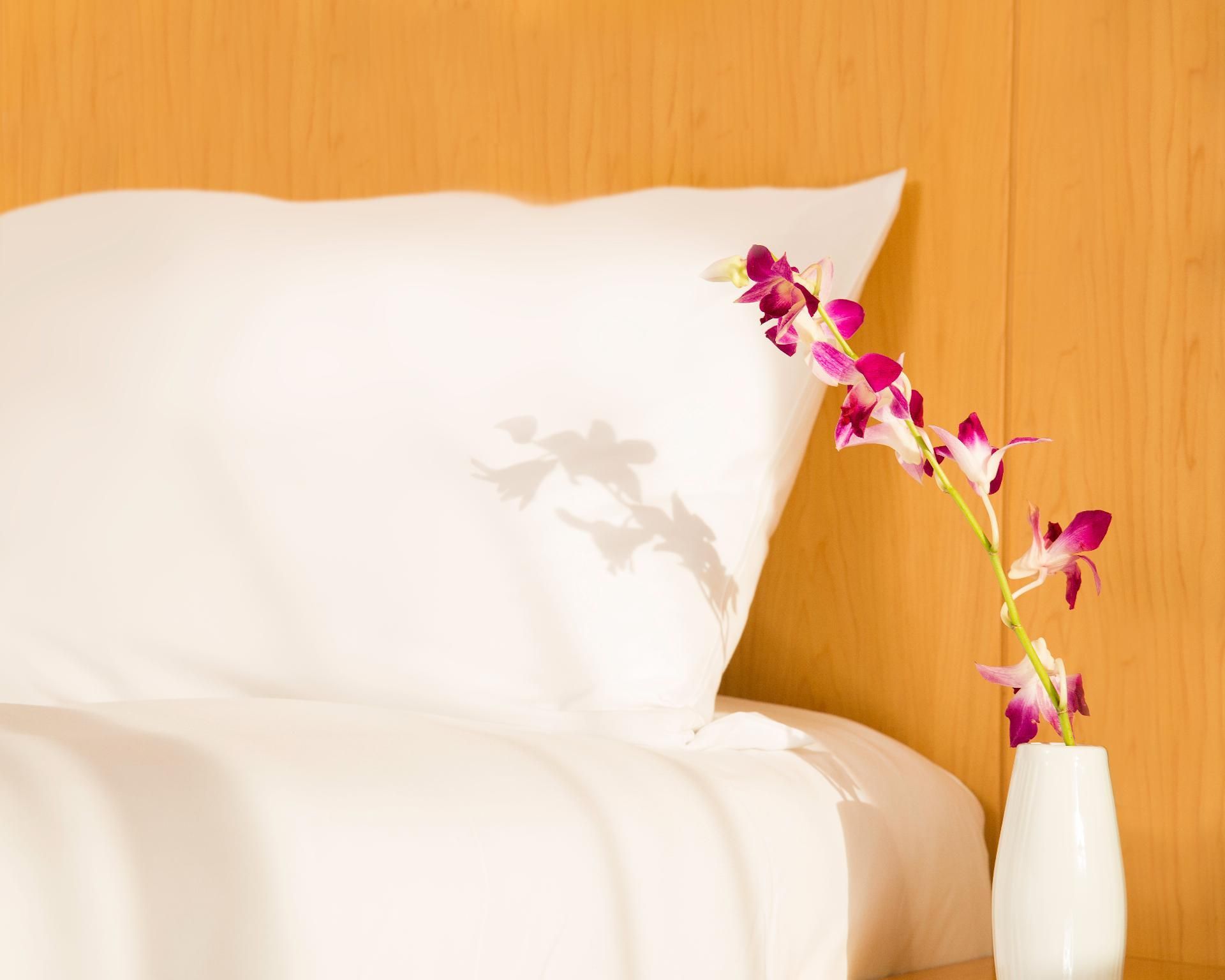 ibis One Central Hotel Standard Twin 10