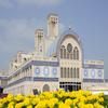 Occidental Sharjah Grand