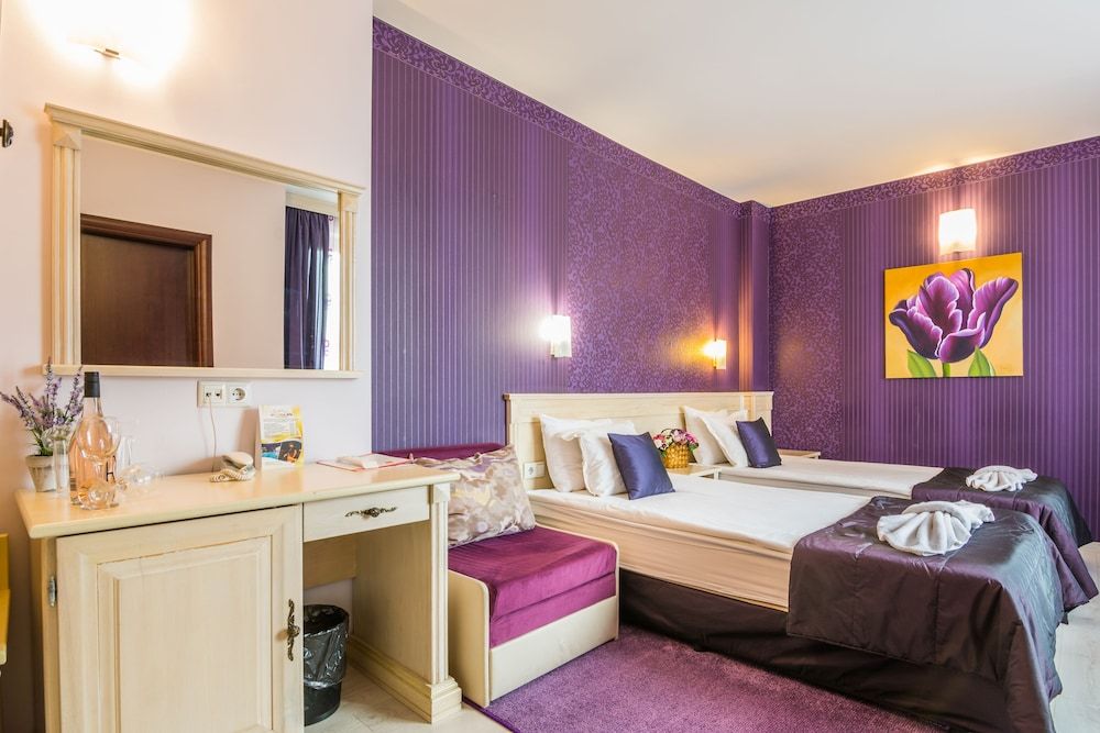 Aris Hotel Sofia Deluxe Double Room 3