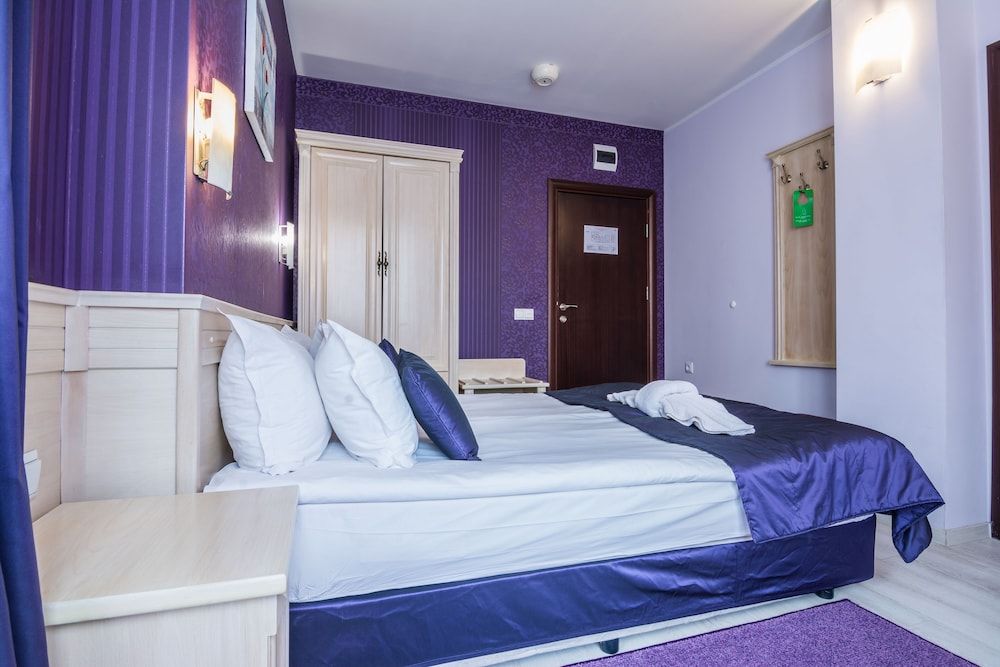 Aris Hotel Sofia Deluxe Double Room 6