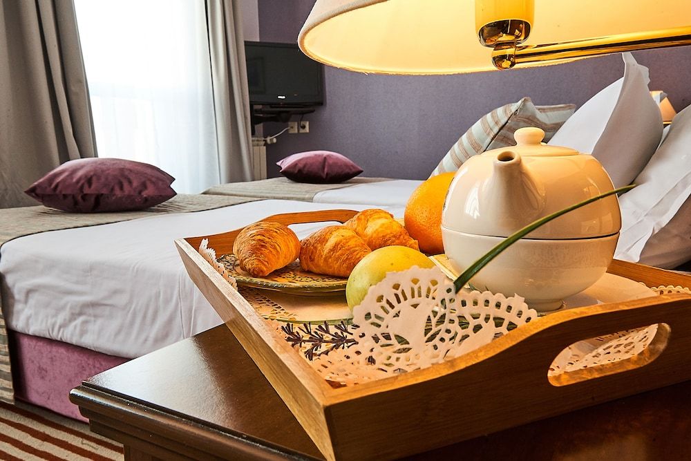 Hotel Lion Sofia Double or Twin Room 7