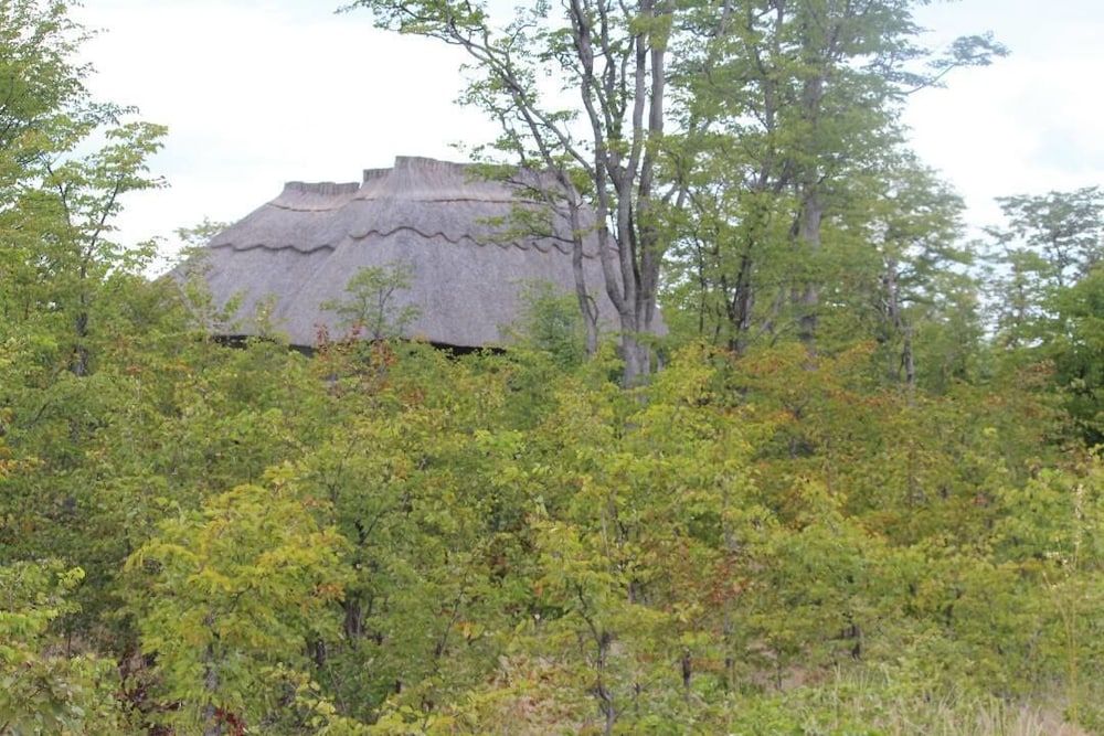 Dzibanana Lodge & Camping