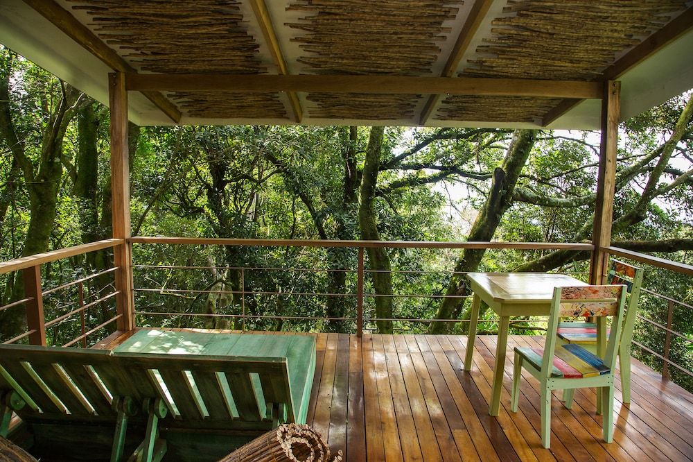 Chayote Lodge Forest View Suite 2