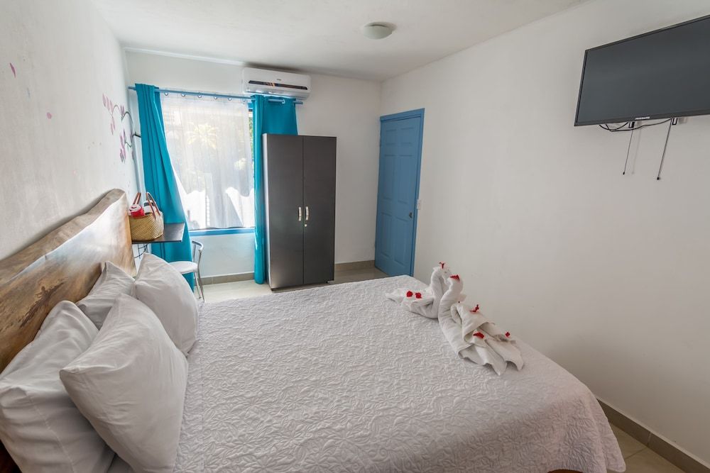 Hotel Ibiza Classic Room, 1 Queen Bed, Garden View 9