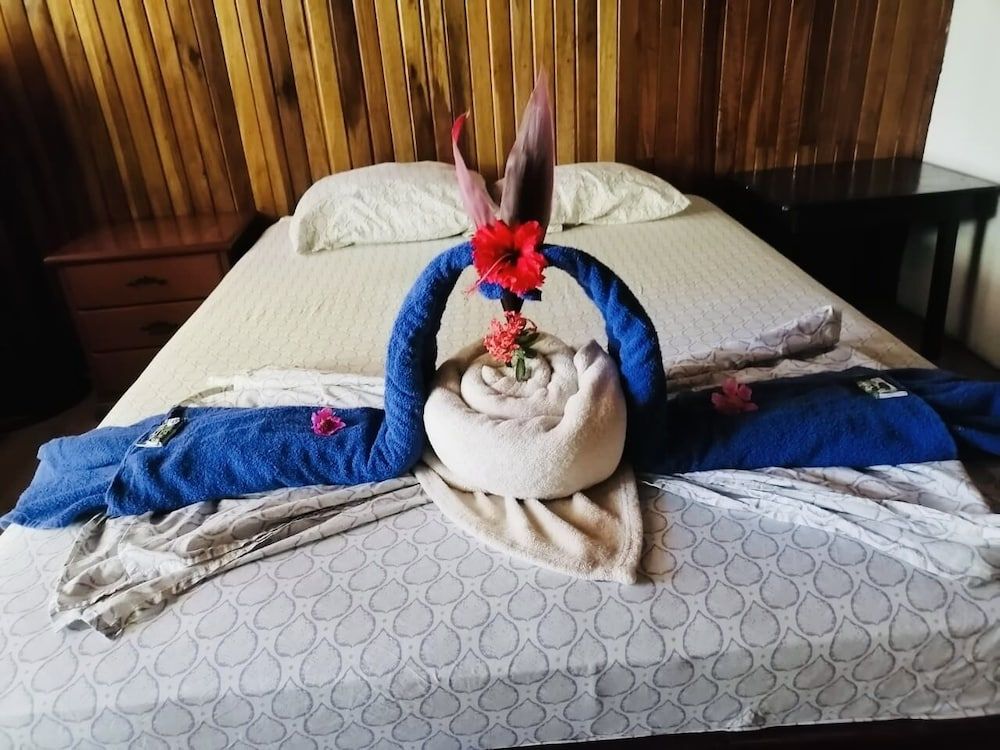 Hotel Aurora Junior Room 4