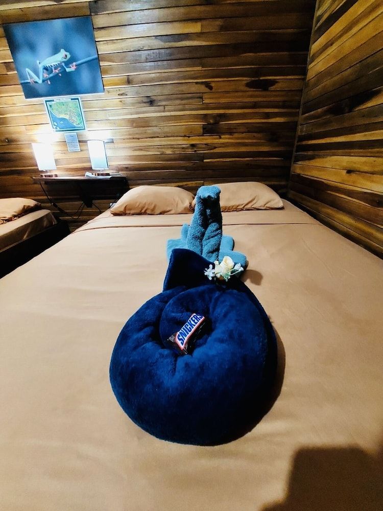 Hotel Aurora Junior Room 9