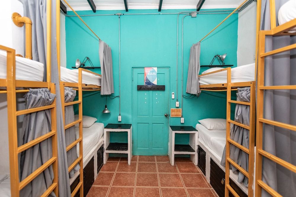 Bed in 6-Bed Dormitory Room