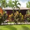 Guanacaste Lodge