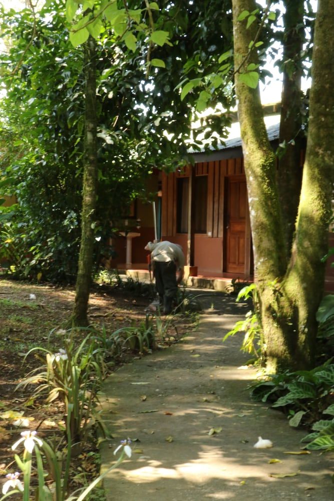Tirimbina Rainforest Lodge Economy Room, Shared Bathroom 3