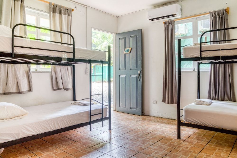 Bed in 6-Bed Dormitory Room