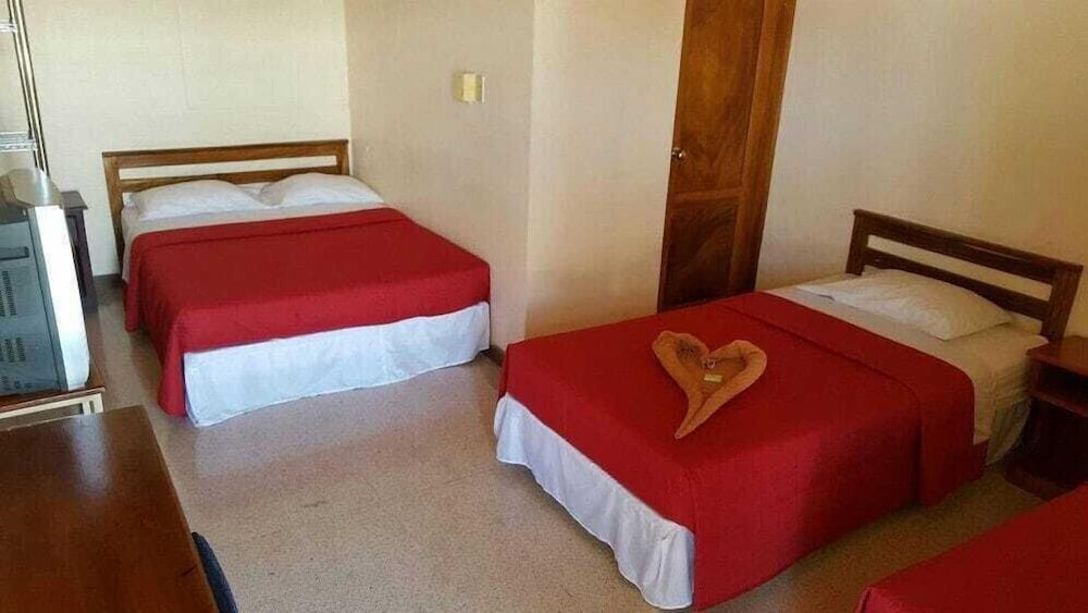 Hotel Primavera Standard room with air-conditioning 3