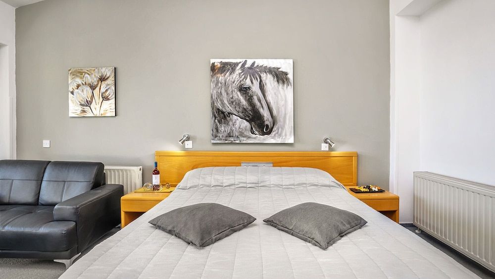 Troodos Hotel Superior Double or Twin Room