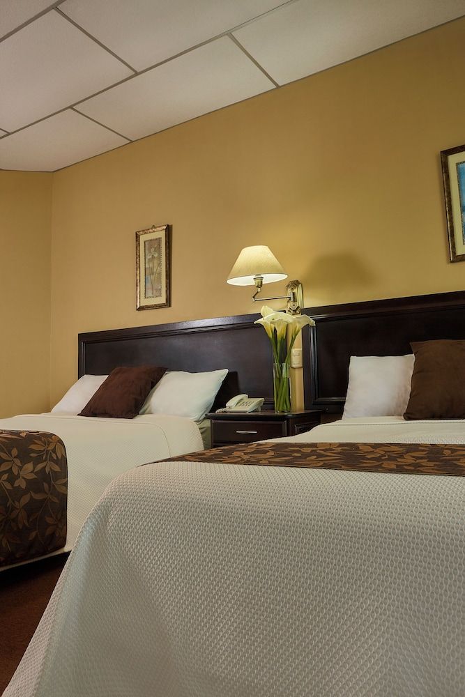 Hotel Podocarpus Double Room, 2 Double Beds