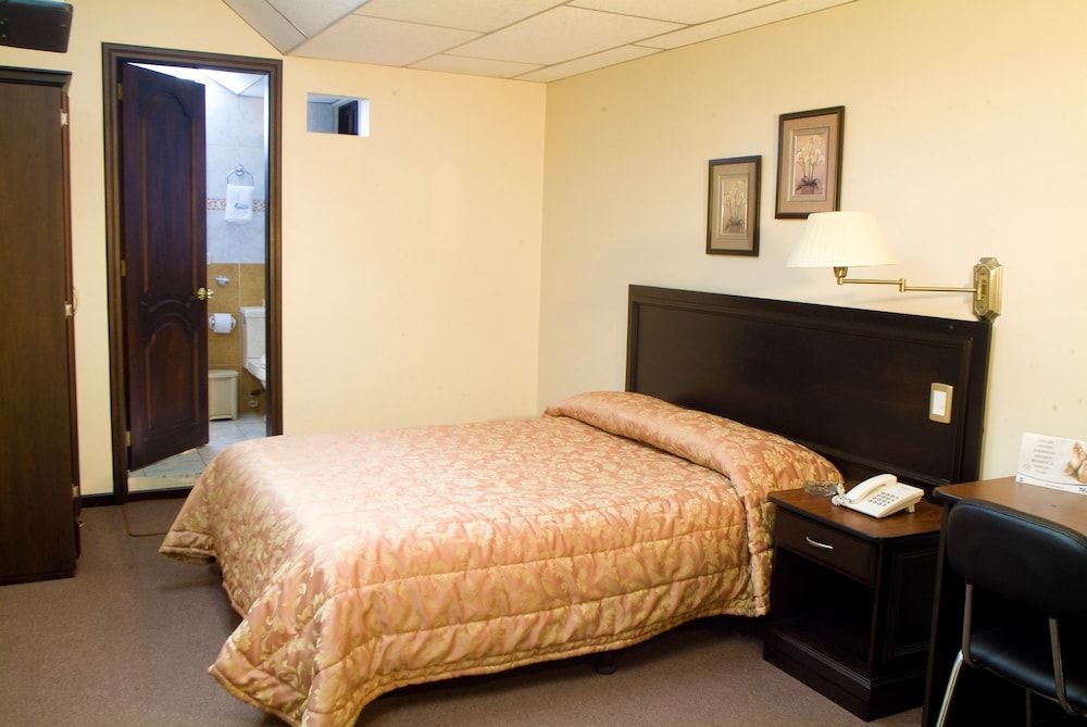 Hotel Podocarpus Single Room, 1 Double Bed 5