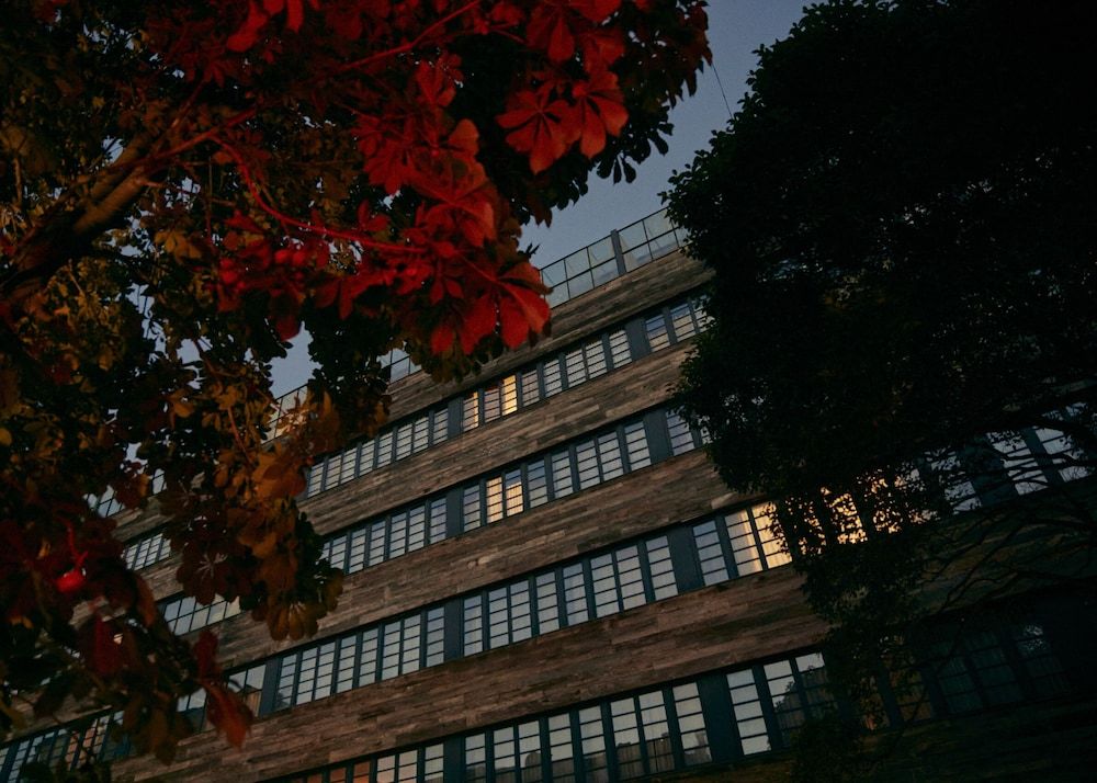 undefined Rooms Hotel Tbilisi 6