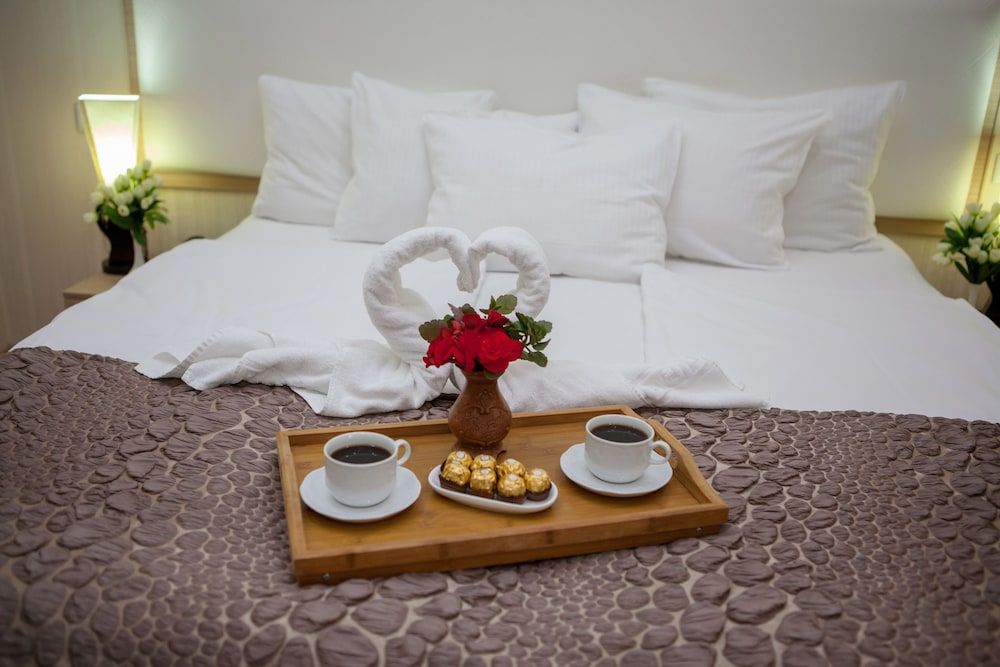 Rustaveli Palace Deluxe Double Room 9