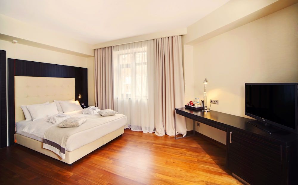 Standard Room, 1 King Bed, Accessible, River View