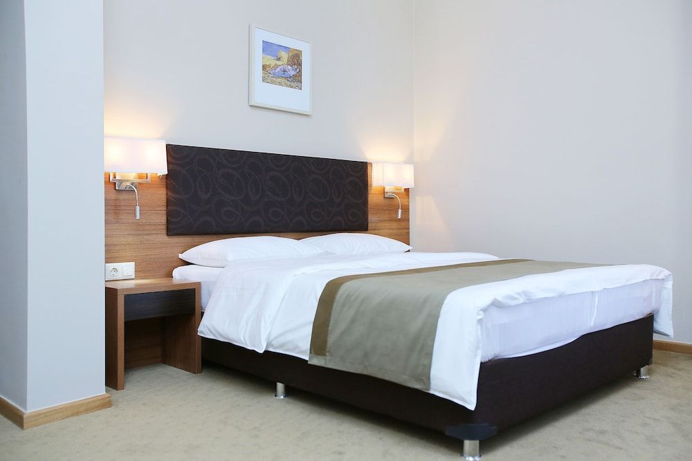 Tskaltubo Plaza Deluxe Room 4