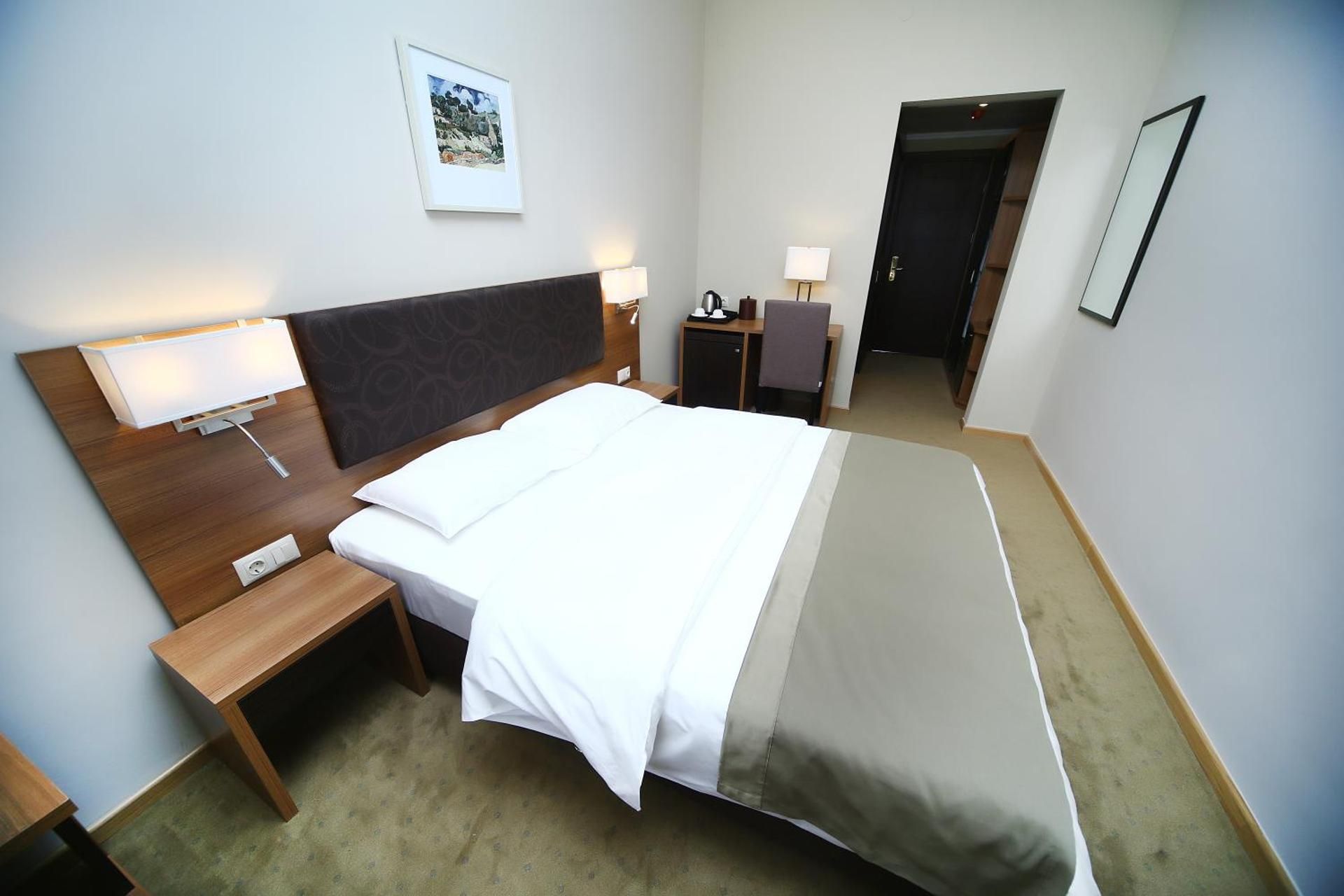 Tskaltubo Plaza Standard Double Room 4