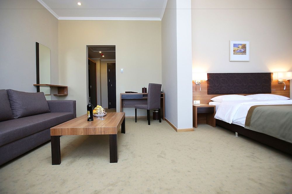 Tskaltubo Plaza Deluxe Room