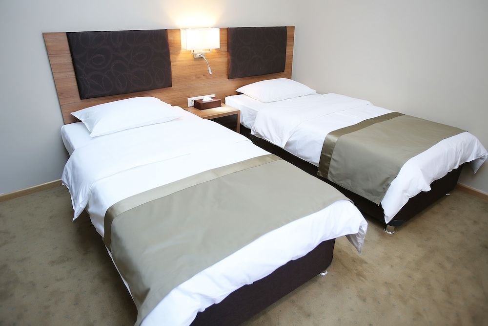 Tskaltubo Plaza Standard Double Room 2