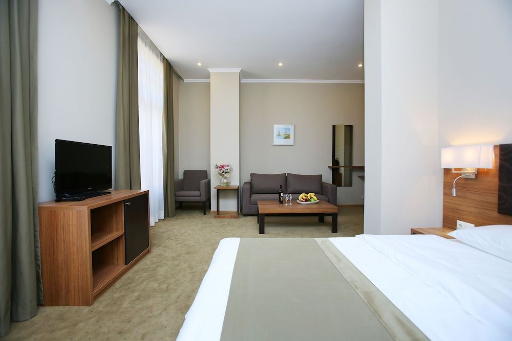 Tskaltubo Plaza Deluxe Room 3
