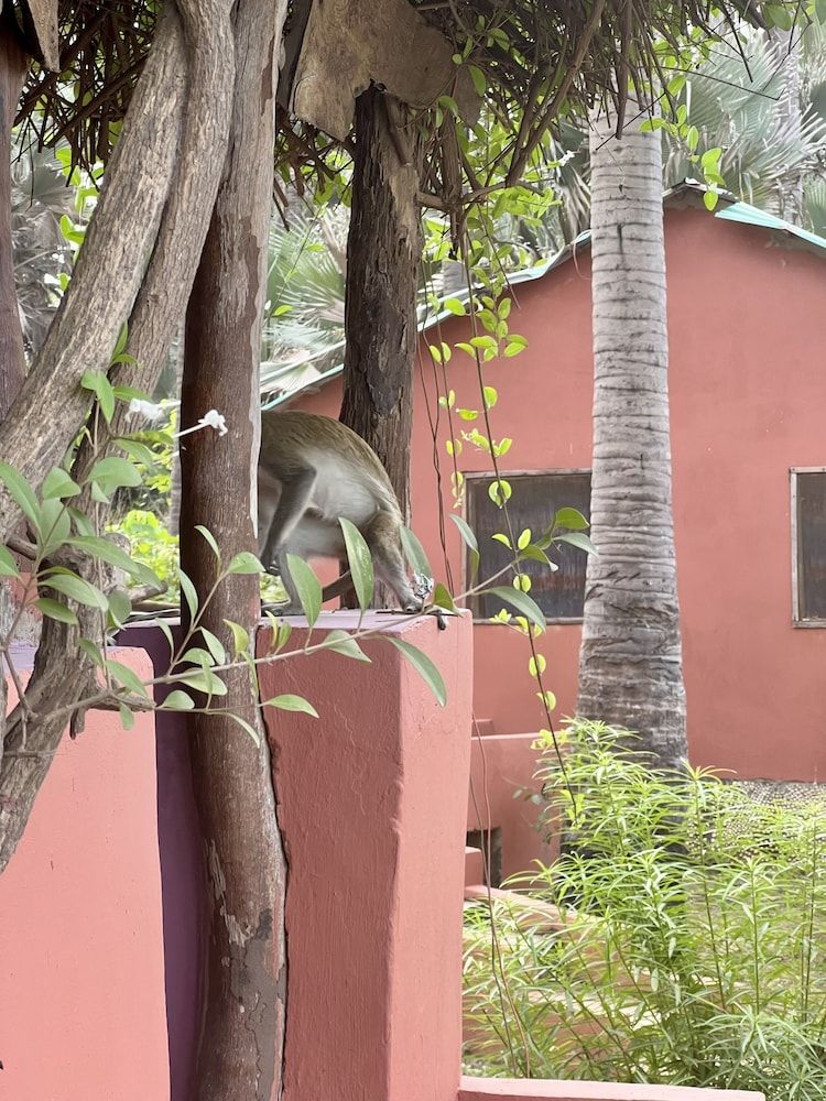 Nemasu Eco-Lodge Traditional Triple Room, 1 Bedroom, Partial Sea View, Garden Area 6