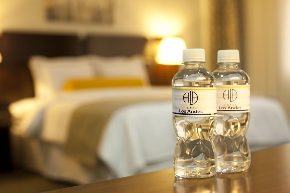 Hotel Los Andes Standard Room, 1 King Bed 4