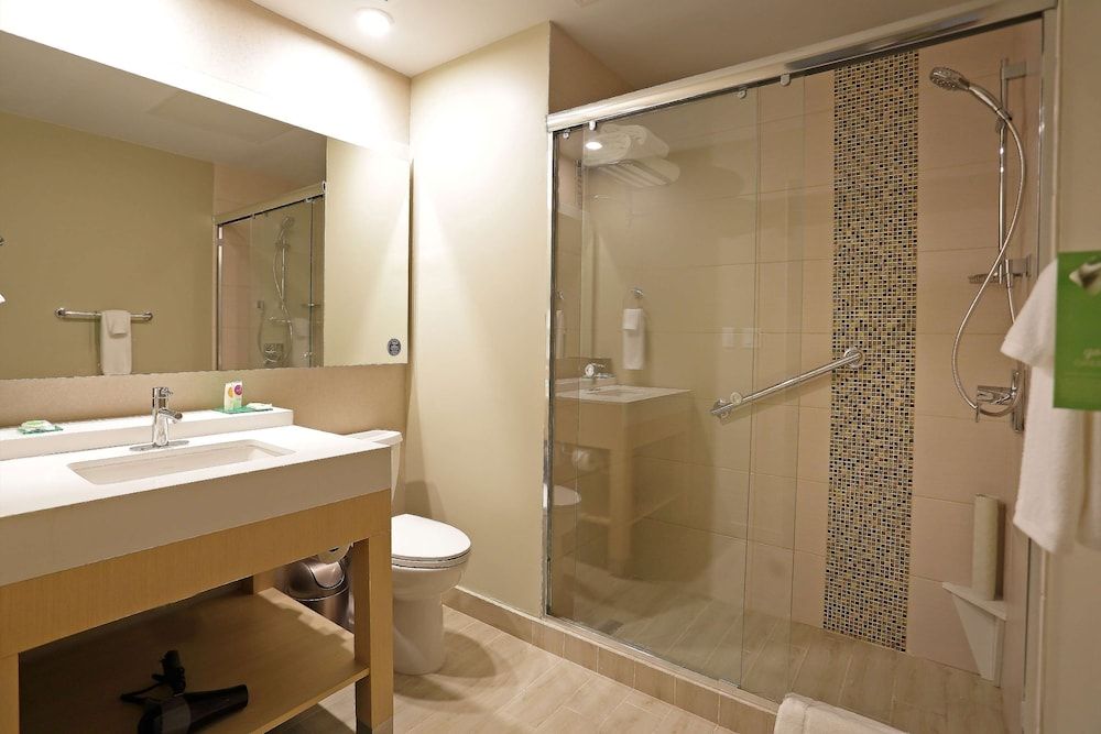 Standard Room, 1 King Bed (No Sofabed)