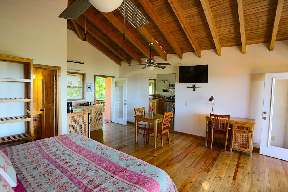 Posada Seremein Deluxe Studio, Kitchenette, Oceanfront 17