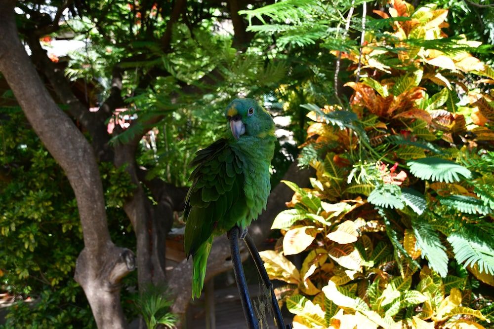 Children's Play Area