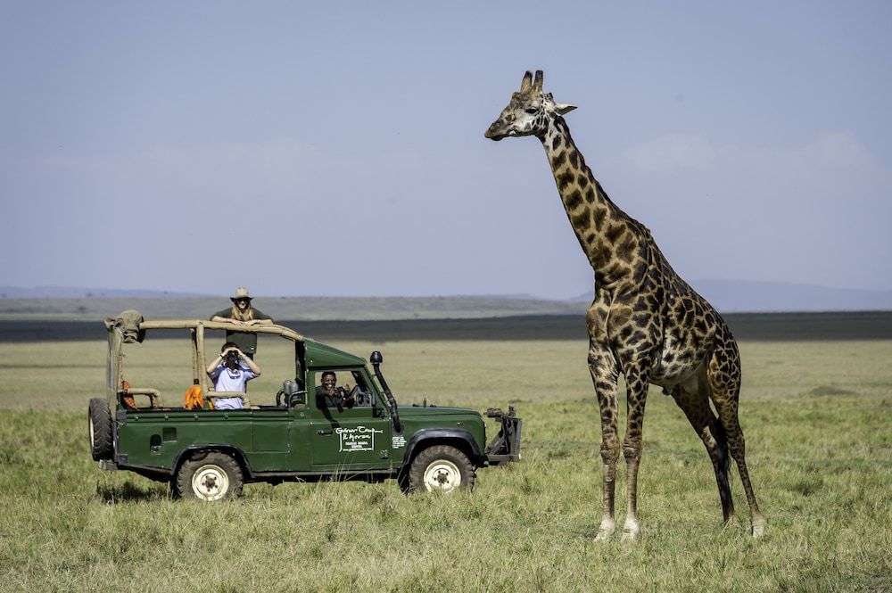Safari and game