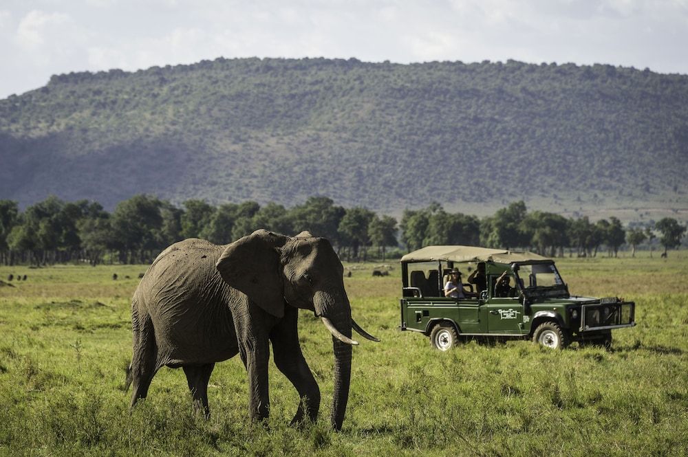 Safari and game