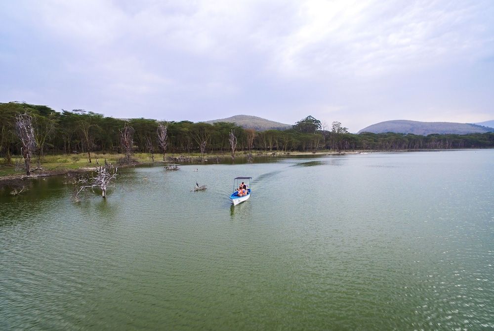 undefined Loldia House 9