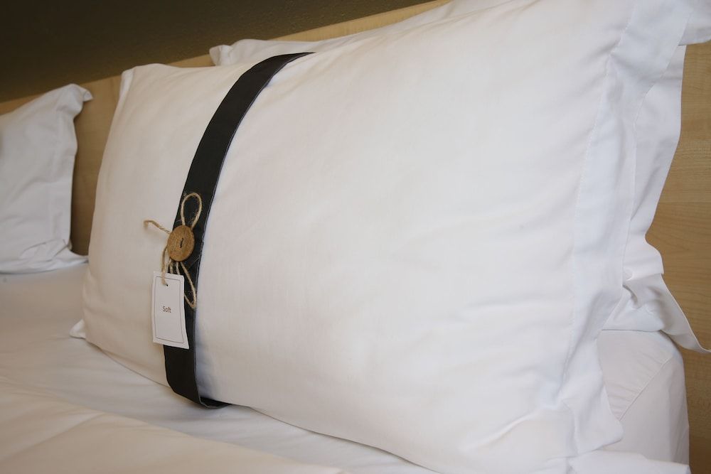 Hotel Futuro Bishkek Standard Single Room