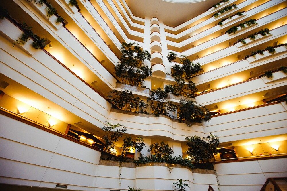 undefined Rahat Palace Hotel 5