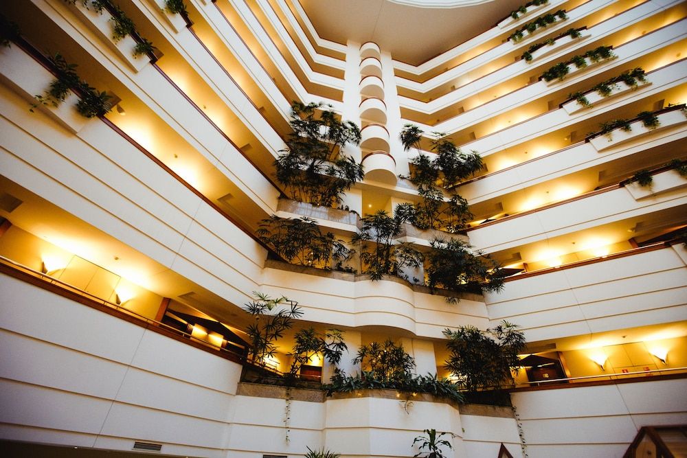 undefined Rahat Palace Hotel 3