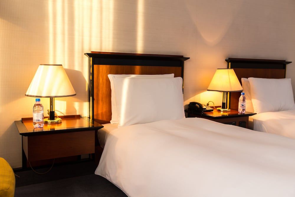 Rahat Palace Hotel Standard Twin Room 3